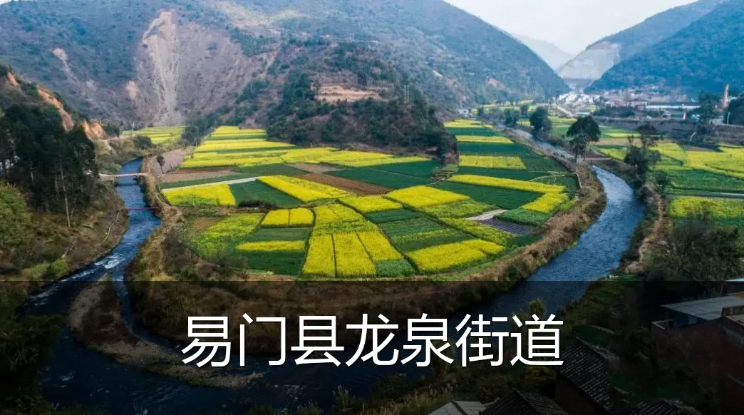 易门县龙泉街道